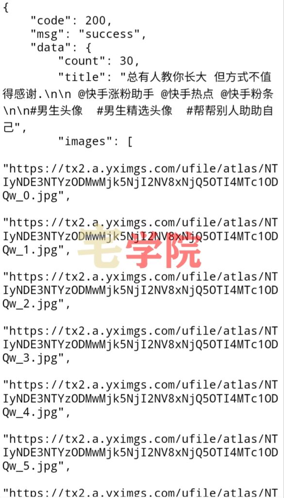 抖音快手图片去水印解析接口源码-阿宅学院